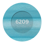 Staal 6209