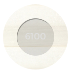 Staal 6100