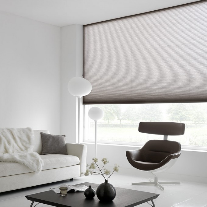 DUETTE® Shades