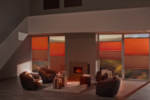 Productfilm DUETTE® Shades in de winter